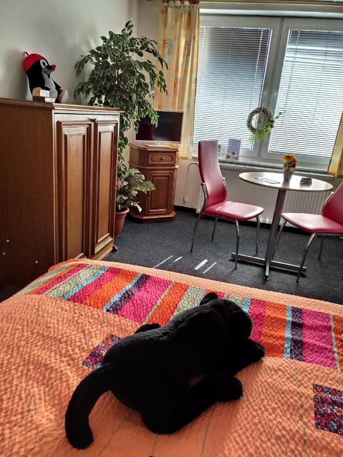 Penzion U Krtka Kraslice Exteriör bild