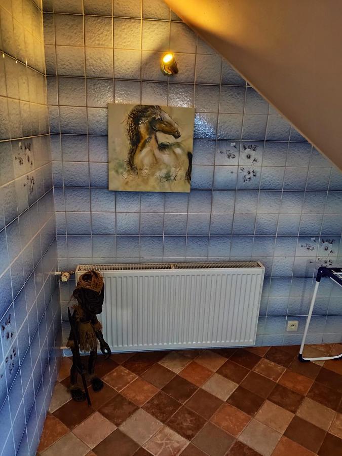 Penzion U Krtka Kraslice Exteriör bild